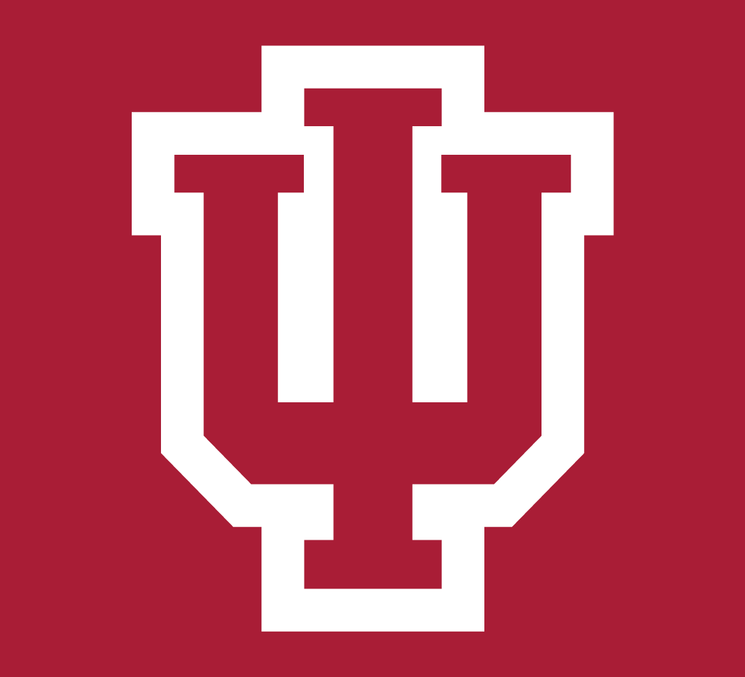 Indiana Hoosiers 2002-Pres Alternate Logo diy fabric transfer
